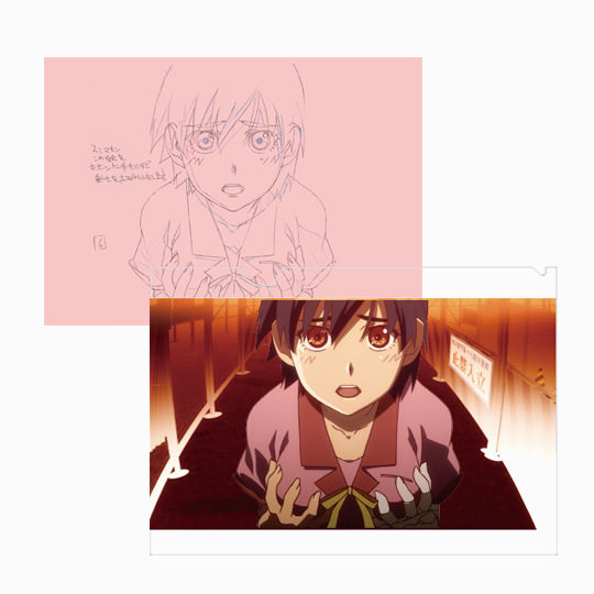 物語シリーズ　KEY ANIMATION CLEARFILE セット KEYANIMATION CLEAR FILE 01 化物語 ひたぎクラブ | アーカイブ